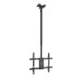 Comprar Soporte de Techo Giratorio/ Inclinable/ Nivelable TOOQ LPCE1175TSLI-XL-B para TV de 32-75'/ hasta 60kg - Ganga Electróni