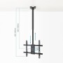 Comprar Soporte de Techo Giratorio/ Inclinable/ Nivelable TOOQ LPCE1175TSLI-XL-B para TV de 32-75'/ hasta 60kg - Ganga Electróni