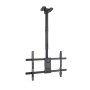 Comprar Soporte de Techo Giratorio/ Inclinable/ Nivelable TOOQ LPCE1186TSLI-B para TV de 43-86'/ hasta 60kg - Ganga Electrónica