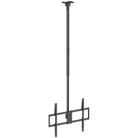 Comprar Soporte de Techo Inclinable/ Giratorio/ Nivelable/ Extensible Aisens CT100TSLE-393 para TV de 50-100'/ hasta 80kg - Gang