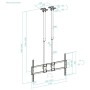 Comprar Soporte de Techo Extensible/ Inclinable TOOQ LPCE11120TSLI-B para TV de 60-120'/ hasta 120kg - Ganga Electrónica
