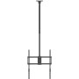 Comprar Soporte de Techo Giratorio/ Inclinable/ Extensible/ Nivelable Aisens CT100TSLE-463 para TV de 50-100'/ hasta 80kg - Gang