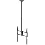 Comprar Soporte de Techo Giratorio/ Inclinable/ Extensible/ Nivelable Aisens CT100TSLE-463 para TV de 50-100'/ hasta 80kg - Gang