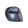 Comprar Evoluent Bakkerelkhuizen Bneevrdw Ratón Rf Inalámbrico 3200 Dpi Mano Derecha - Ganga Electrónica