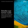 Comprar Xerox Versalink C50x Cartucho De Tóner Negro De Alta Capacidad (12 100 Páginas) - Ganga Electrónica