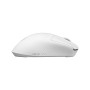 Comprar Raton Inalambrico Gaming Asus Rog Gladius Iv Ace Blanco - Ganga Electrónica