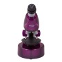 Comprar Microscopio Levenhuk LabZZ M101 - Ganga Electrónica