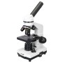 Comprar Microscopio Levenhuk Rainbow 2L - Ganga Electrónica