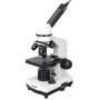 Comprar Microscopio digital Levenhuk Rainbow D2L 0.3M, Moonstone\Piedra de Luna - Ganga Electrónica
