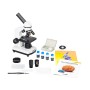 Comprar Microscopio digital Levenhuk Rainbow D2L 0.3M, Moonstone\Piedra de Luna - Ganga Electrónica