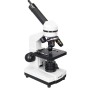 Comprar Microscopio digital Levenhuk Rainbow D2L 0.3M, Moonstone\Piedra de Luna - Ganga Electrónica