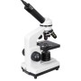 Comprar Microscopio digital Levenhuk Rainbow D2L 0.3M, Moonstone\Piedra de Luna - Ganga Electrónica