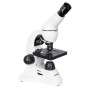 Comprar Microscopio digital Levenhuk Rainbow D50L PLUS 2M, Moonstone\Piedra de Luna - Ganga Electrónica