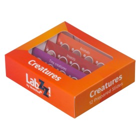 Comprar Set de preparaciones Levenhuk LabZZ C12: criaturas - Ganga Electrónica
