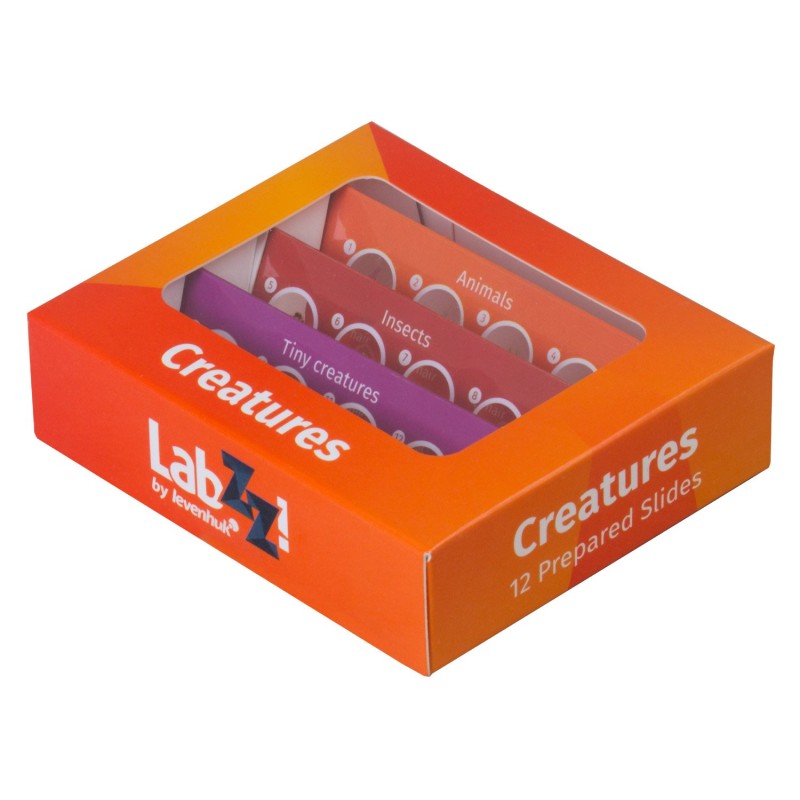Comprar Set de preparaciones Levenhuk LabZZ C12: criaturas - Ganga Electrónica