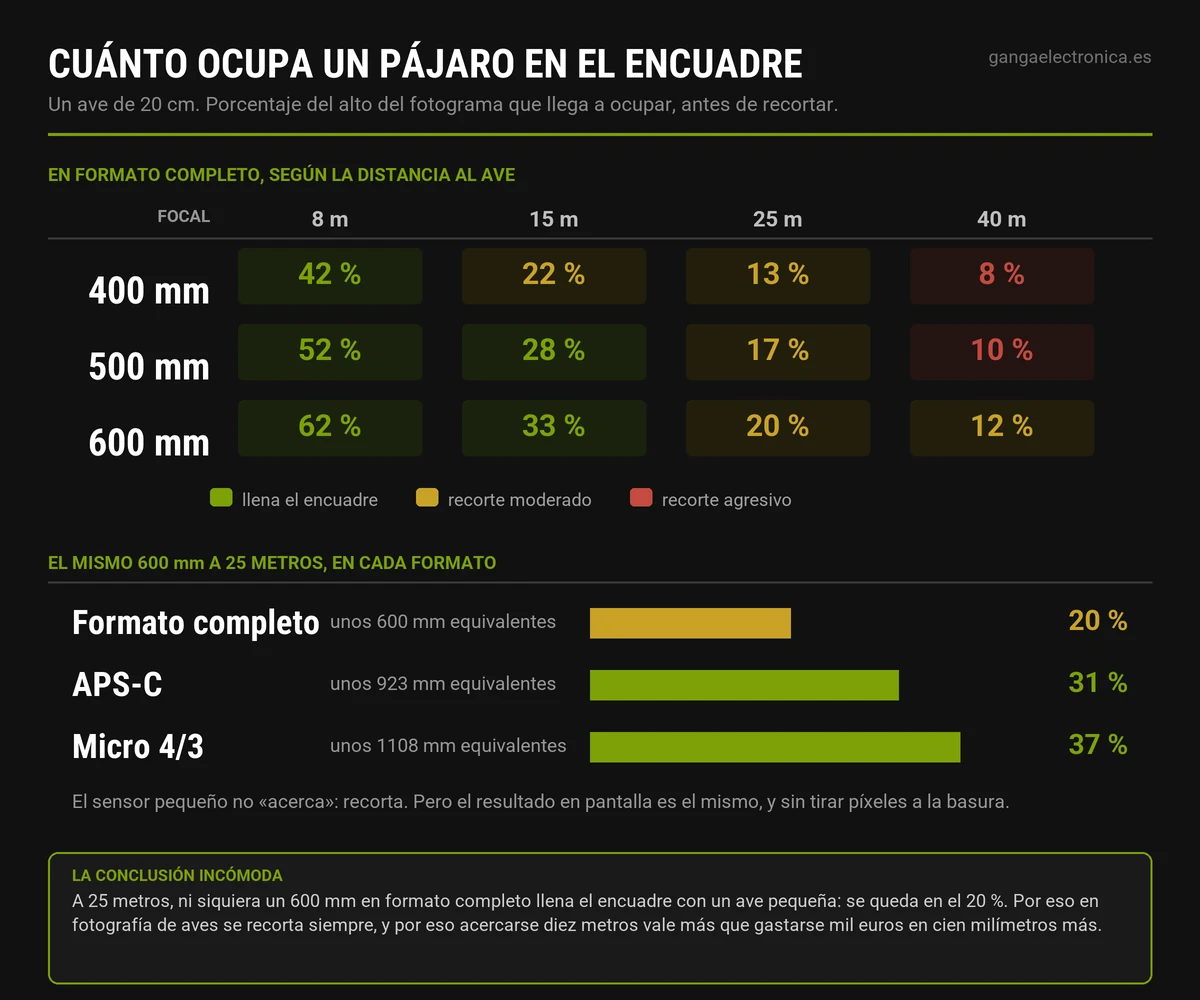 Tabla del porcentaje del encuadre que ocupa un ave de 20 cm según la focal, la distancia y el formato del sensor
