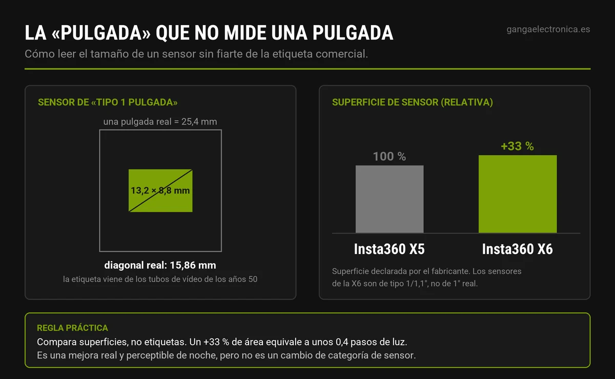 Diagrama del tamaño real de un sensor de tipo 1 pulgada y de la superficie relativa de los sensores de la Insta360 X5 y X6