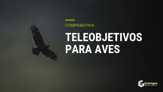 Mejor teleobjetivo para fotografía de aves en 2026: comparativa por montura y presupuesto