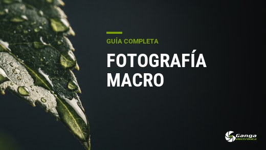 Fotografía macro: la guía completa, del primer tubo de extensión al enfoque apilado