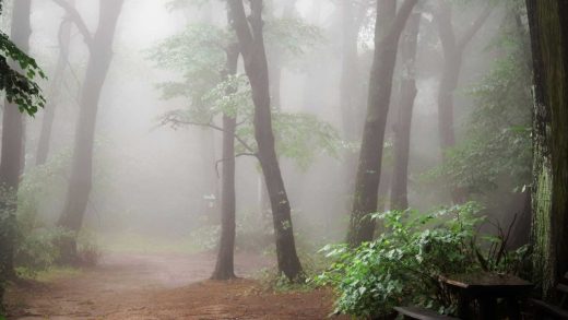 Guía Completa para Fotografiar la Niebla: Captura la Magia del Paisaje