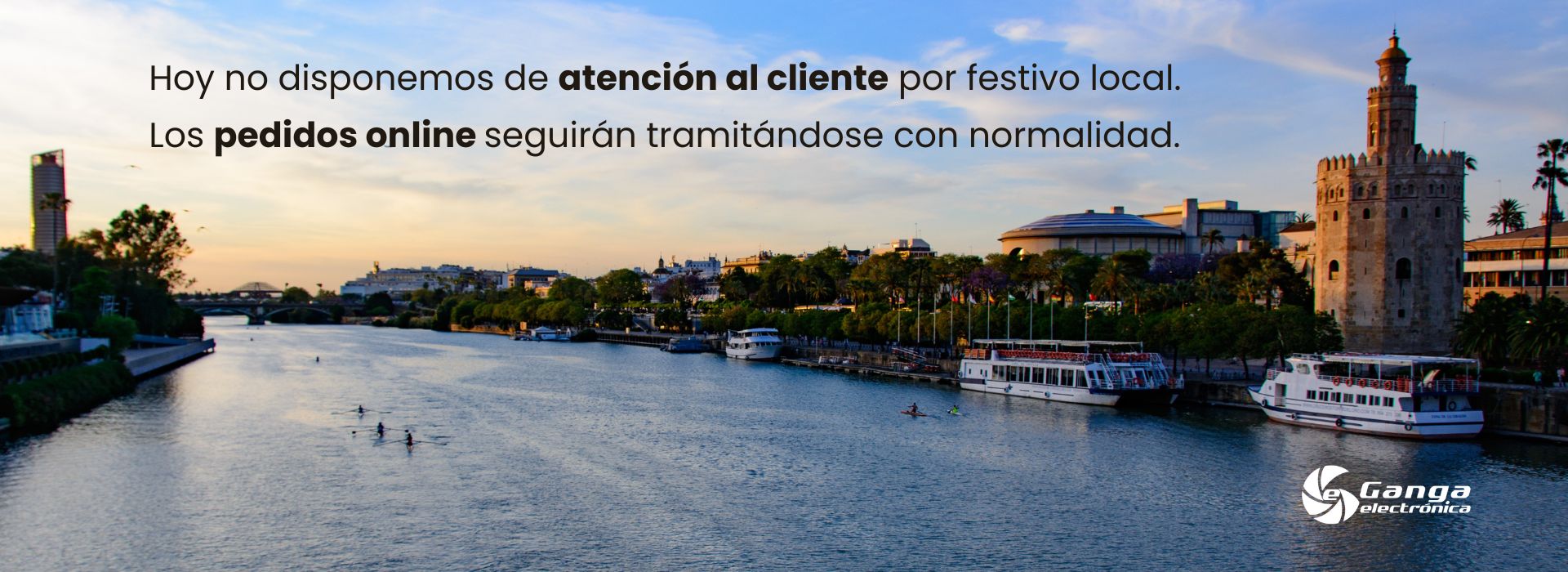 BANNER FESTIVO LOCAL WEB